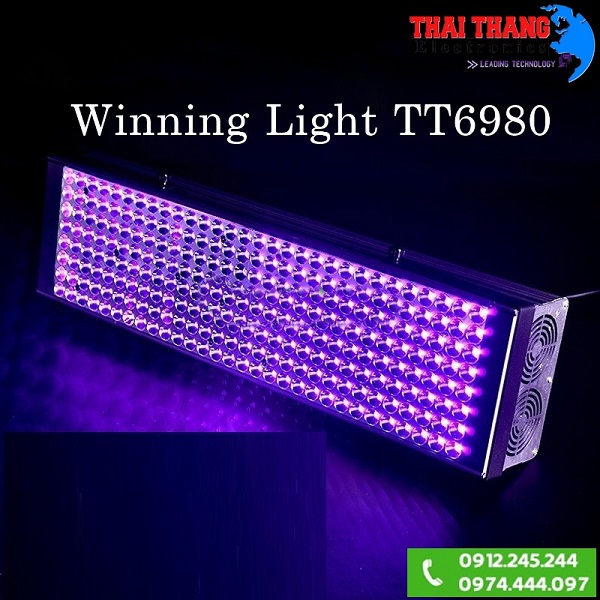 Đèn uv công nghiệp winning light TT6980 300w 365nm
