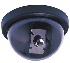 Bán cầu ốp trần AVC-8201