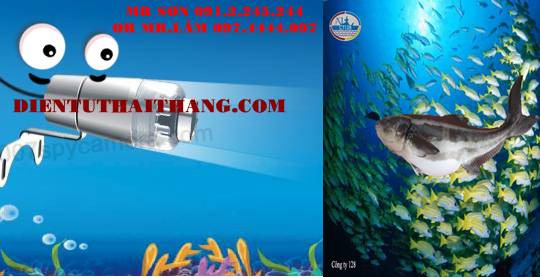 Camera quay dưới nước