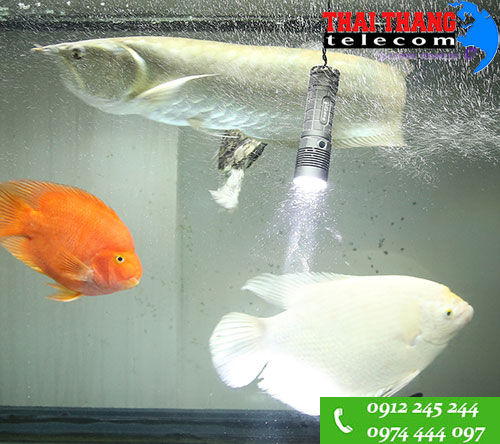 Đèn pin siêu sáng SupFire L5-L2 1100 lumens