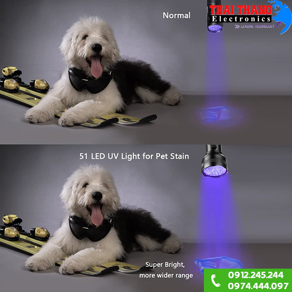 Đèn pin UV Winning Light UV12-USA