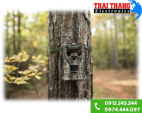 Máy bẫy ảnh chuyên nghiệp Bushnell 14MP 0.2s