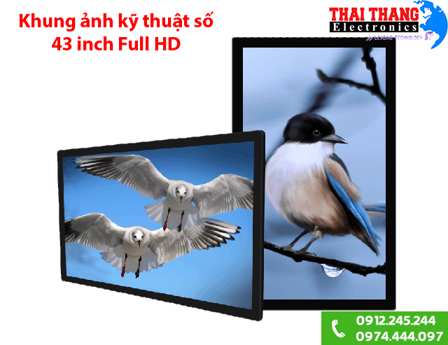 Khung ảnh kỹ thuật số 43 inch IPS FULL HD