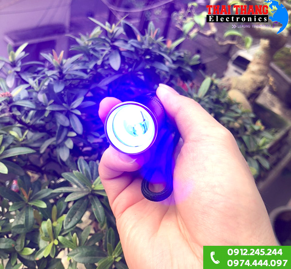 Đèn pin chiếu tia cực tím Winning Light UV14-TT
